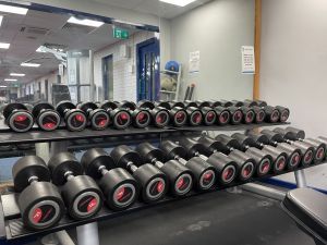 Upstairs gym equipped with variety of exercise machines and free weights.