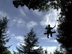 The high swing at Groombridge Place