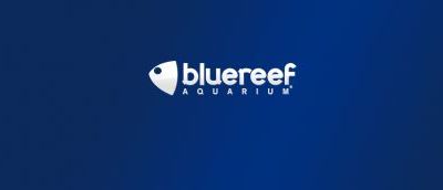 Blue reef aquarium logo